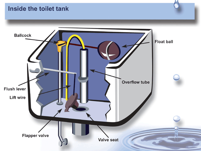 Inside the Toilet Tank